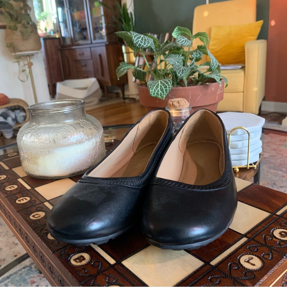 Black Flats